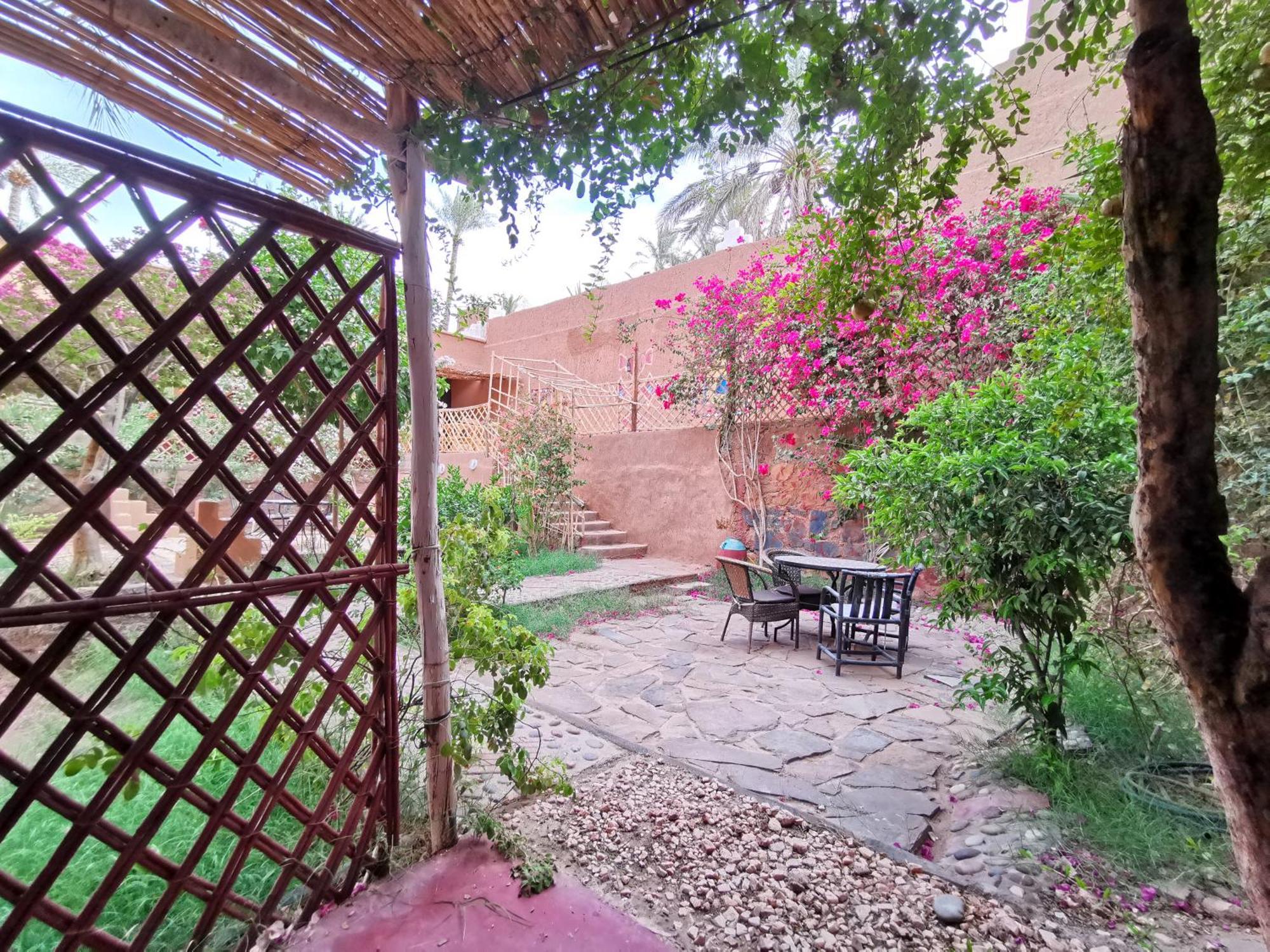 Riad Dar Zaouia Zagora Ngoại thất bức ảnh
