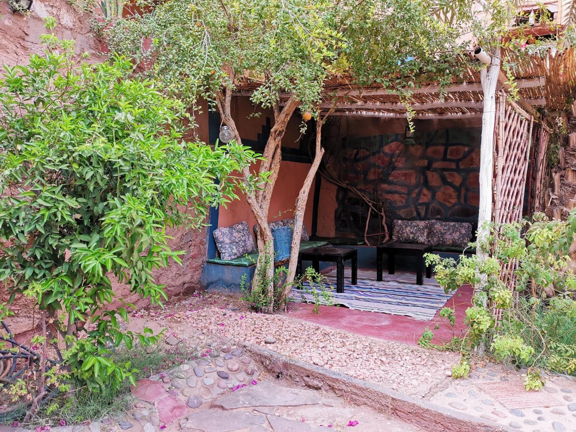 Riad Dar Zaouia Zagora Ngoại thất bức ảnh